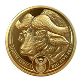 South Africa 2021 Big Five Buffalo & Krugerrand 1oz Twin Set