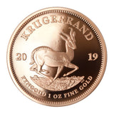 South Africa 2019 Big Five Lion & Krugerrand 1oz Twin Set