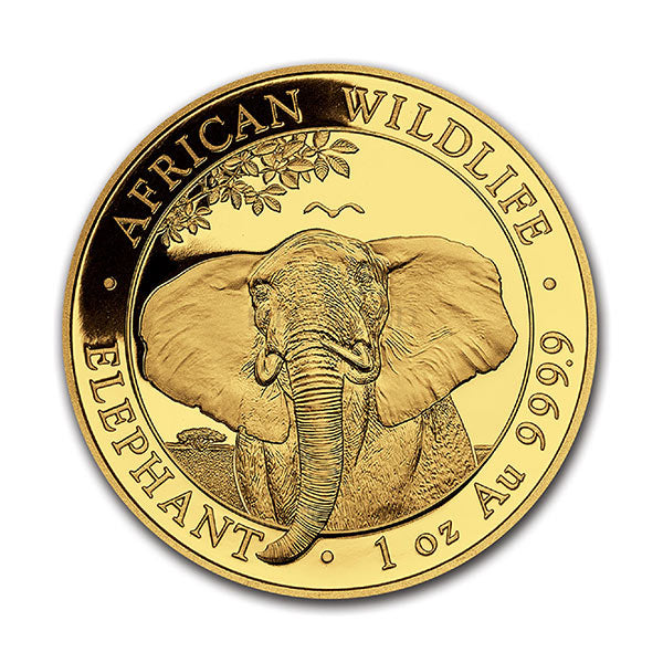 Somalian Elephant 1oz NGC-graded MS70