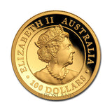 1 ounce gold coin 2019 perth-mint koala pp high relief front