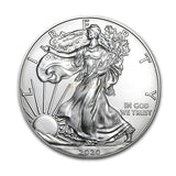 American-Eagle-First-Strike-Silver-back