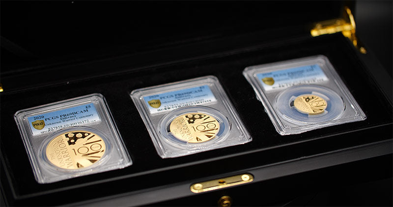 100th Anniversary of the Unknown Warrior 2020 – 22k Gold Coin Set, £1